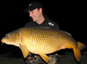 32lb wild common in immaculate condition.