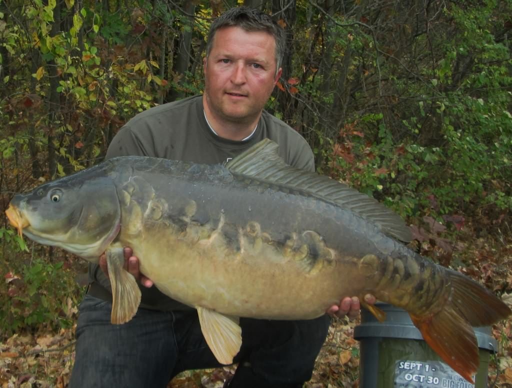 Amazing scale pattern and colors