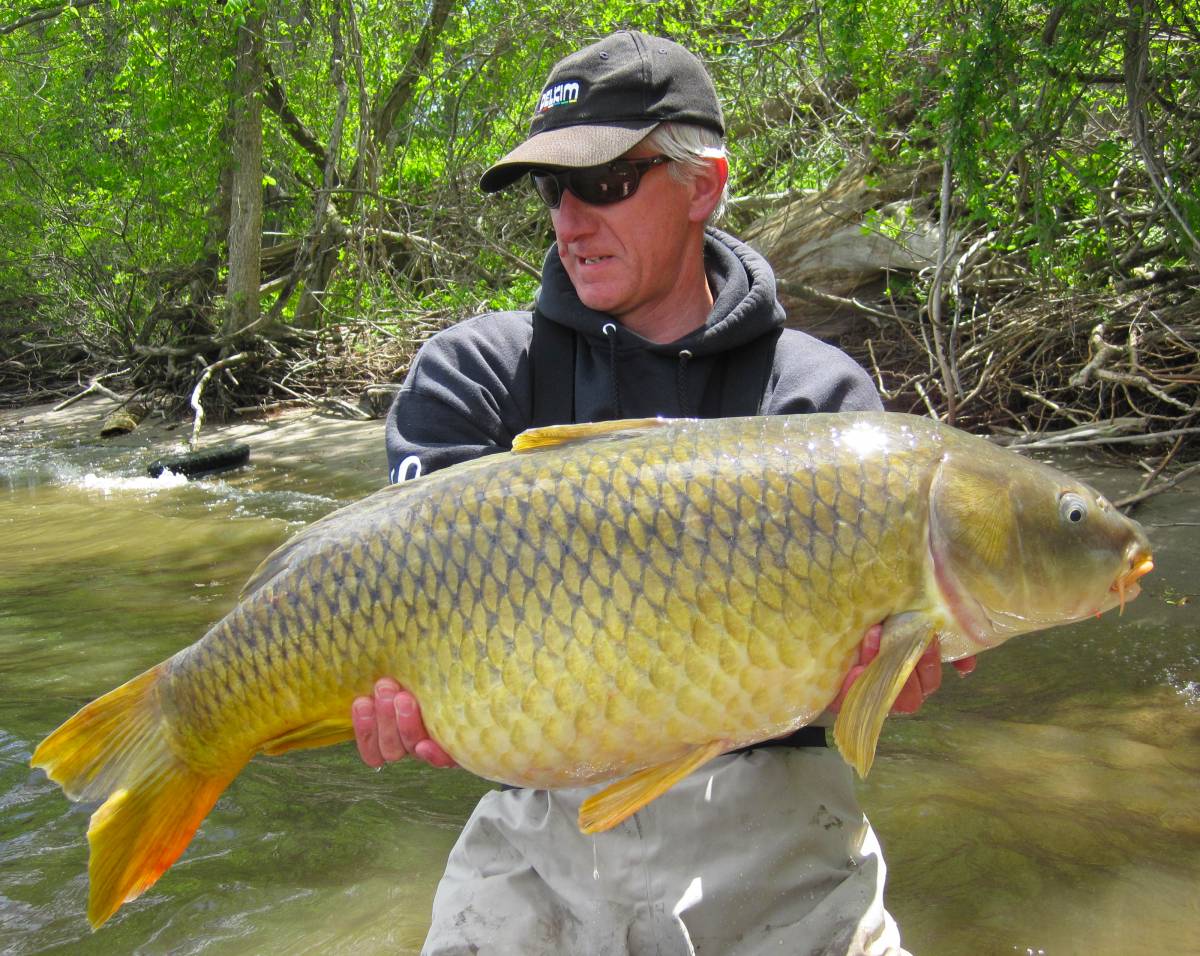 best carp fishing reels 2014 11 of the best carp reels in 2026