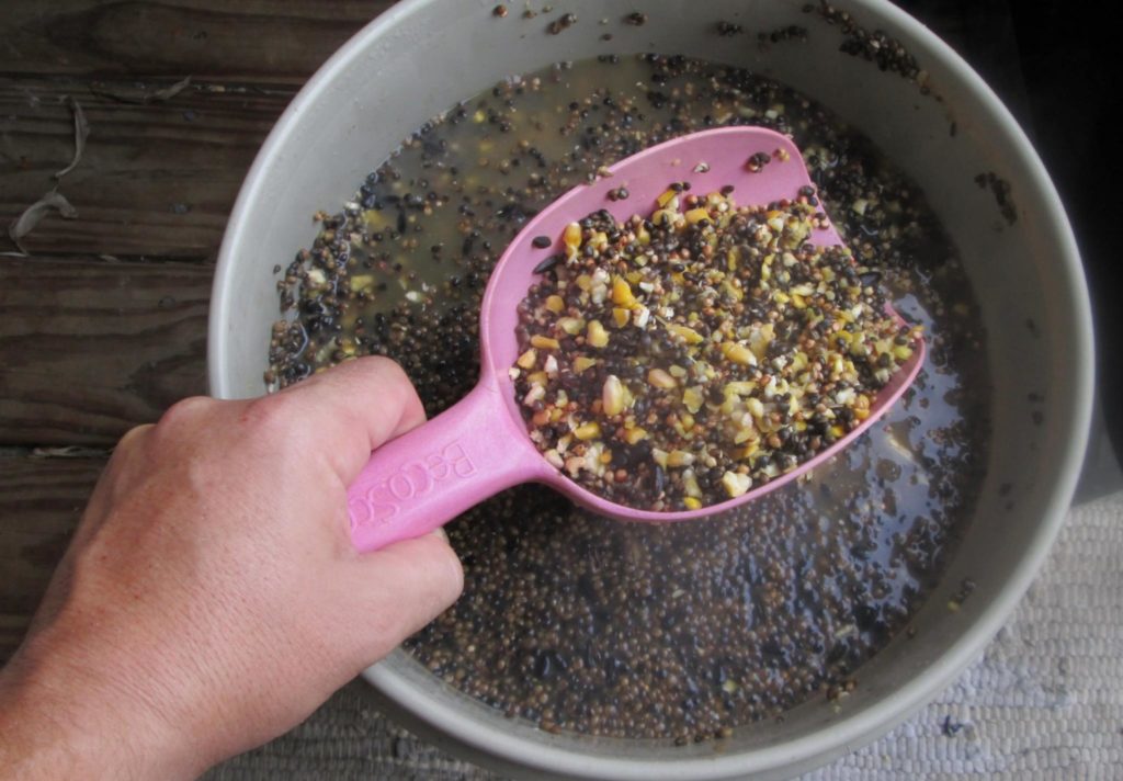 Basic Particle mix to which I added several handfuls of Tiger Nuts