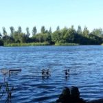 Lake of Dreams: Awaiting action - Would the fish respond?