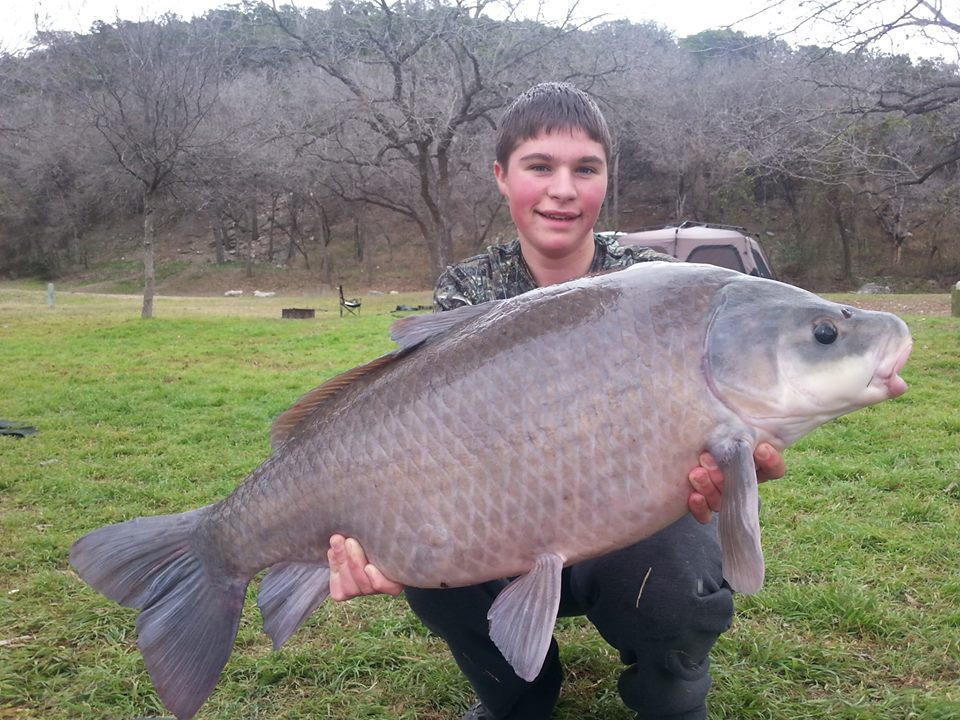 Upper Twenty taken on boilies