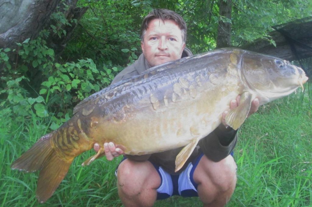 A proper wild American carp