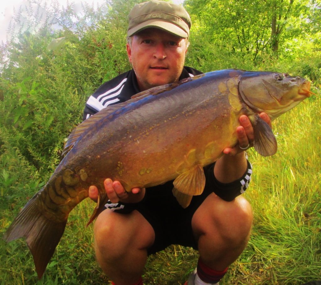 Scatter Scaled twenty