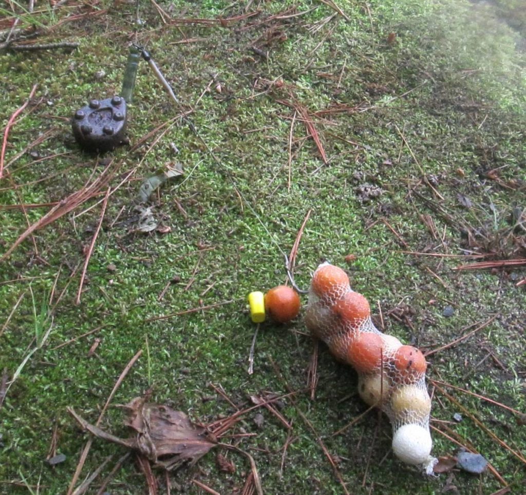 Typical baiting situation for short session success