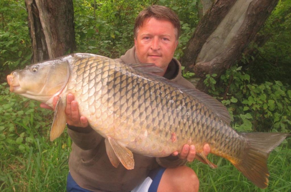 A very angry two tone common
