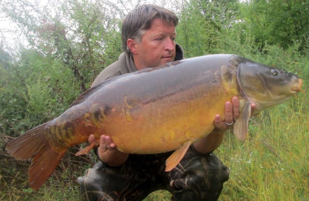 Solid and wide, and in great condition