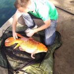 All the fish care gear