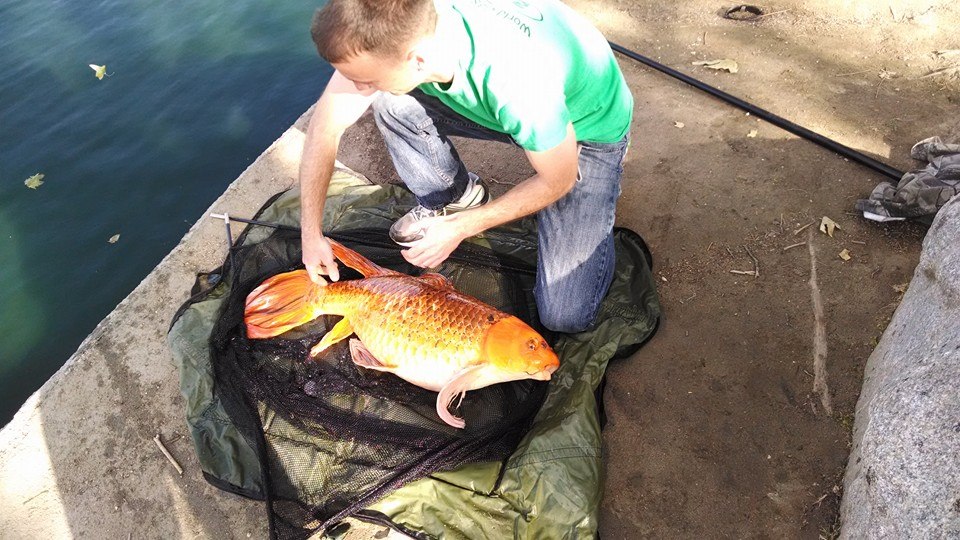 All the fish care gear