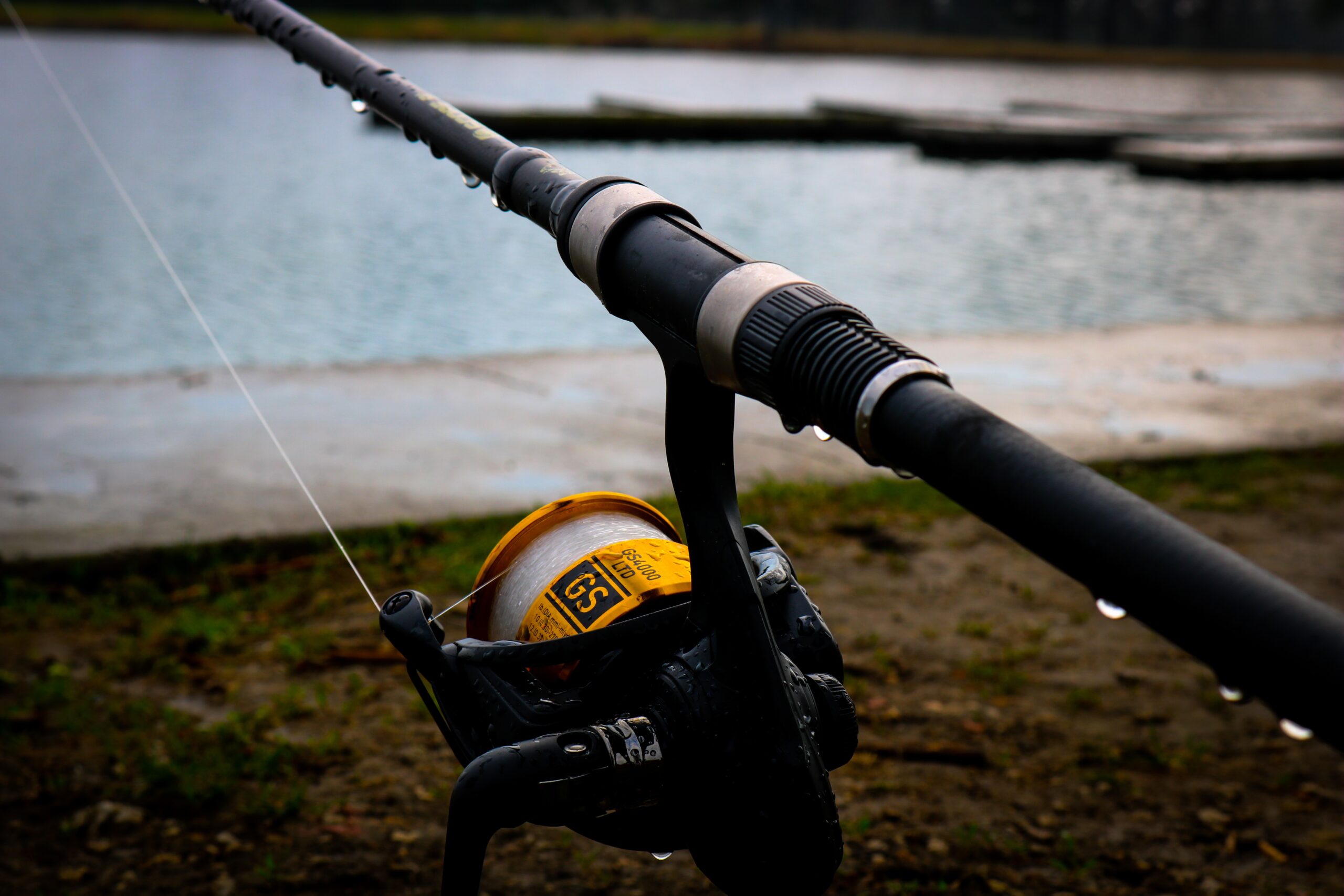 Daiwa GS LTD 4000 - Big Carp News
