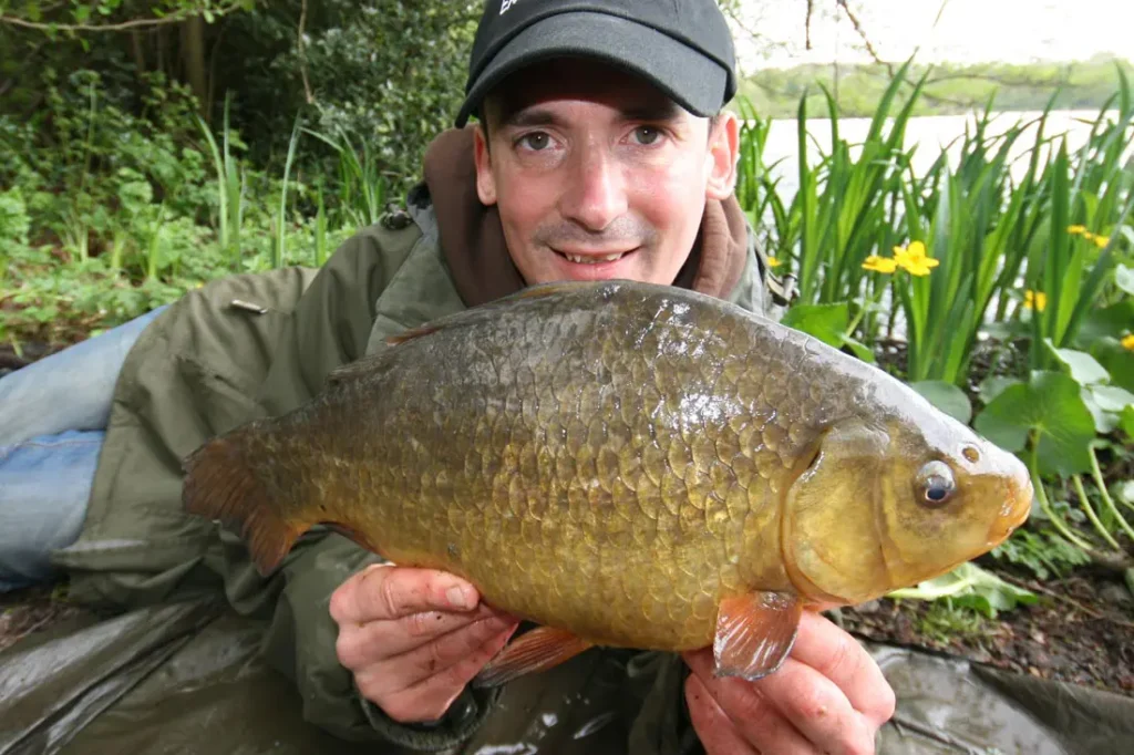 Crucian Carp