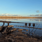 winter carp fishing UK