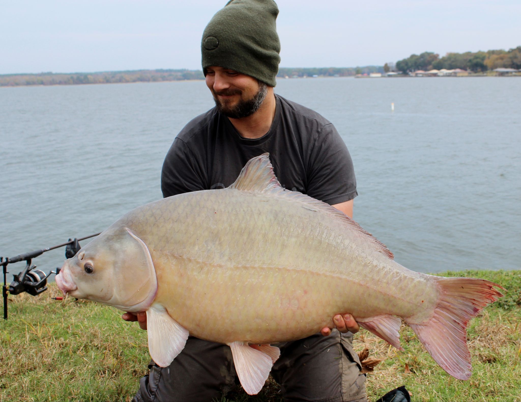 Catching Carp: Rigs and bait - Big Carp News