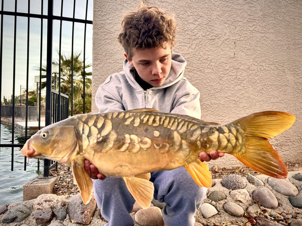 Colter Brasel December 2025