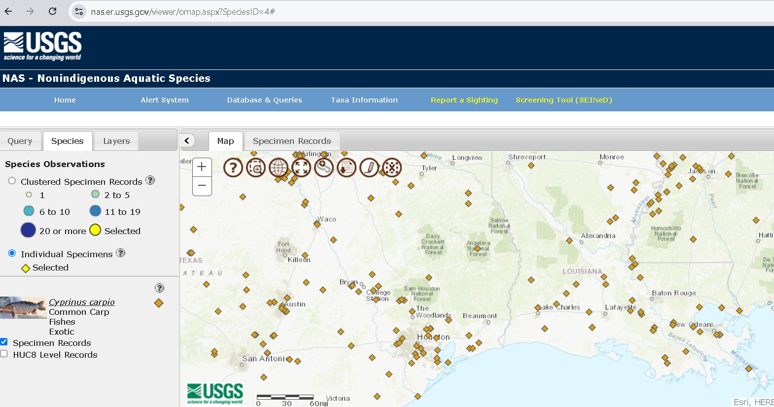 The Fundamentals of Carp Fishing