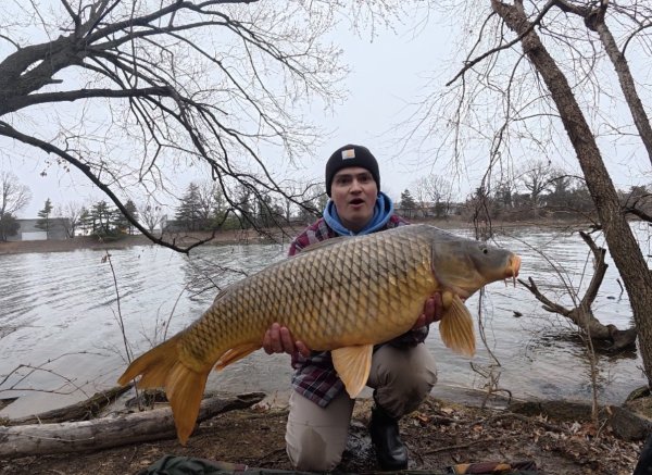 Zone 1 - Mark Mulligan